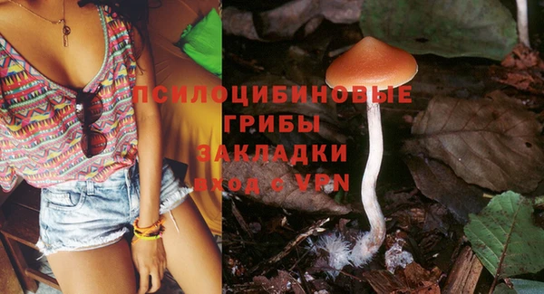 гашик Абаза