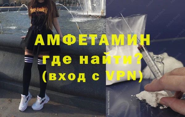 индика Алексин