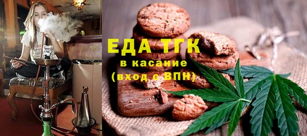индика Алексин