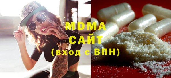 индика Алексин