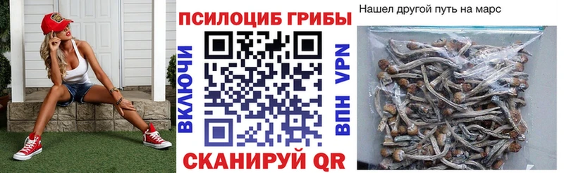 Псилоцибиновые грибы ЛСД Кирсанов